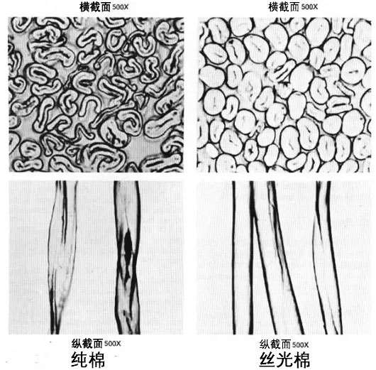 纯棉横截面为腰圆形